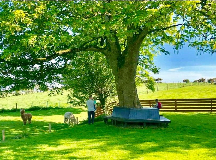 Torrs Warren Country House Hotel Stoneykirk ภายนอก รูปภาพ